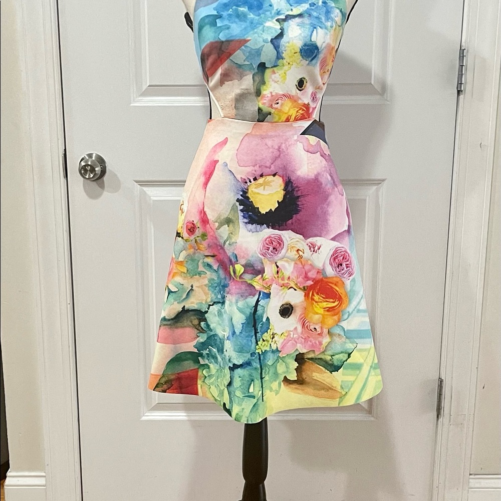 Clover Canyon Fluorescent Rose Cut Out Neoprene Dress in Multi Sz S - Picture 4 of 15